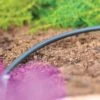 Hozelock Micro Irrigation Hose 4mm - 10m Pack 2 Hozelock Micro Irrigation Hose 4mm - 10m Pack -HANS Garden Shop 00009747 2772 10mMicroTube4mm