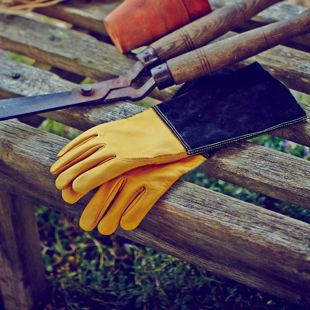 Deluxe Premium Leather Gauntlet - Medium 4 Deluxe Premium Leather Gauntlet - Medium - Image 2