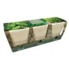 Windowsill Herb Pots 2 Windowsill Herb Pots -HANS Garden Shop 00143616 DP9620Windowsill20Herb20Trio
