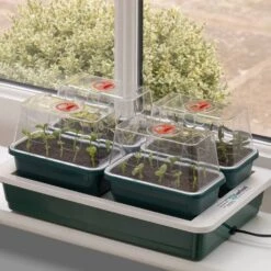 Fab 4 Electric Propagator
