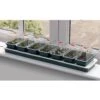 Super 7 Electric Windowsill Propagator 1 Super 7 Electric Windowsill Propagator -HANS Garden Shop 00220170 G51 Super 7 Electric Windowsill Propagator with plants