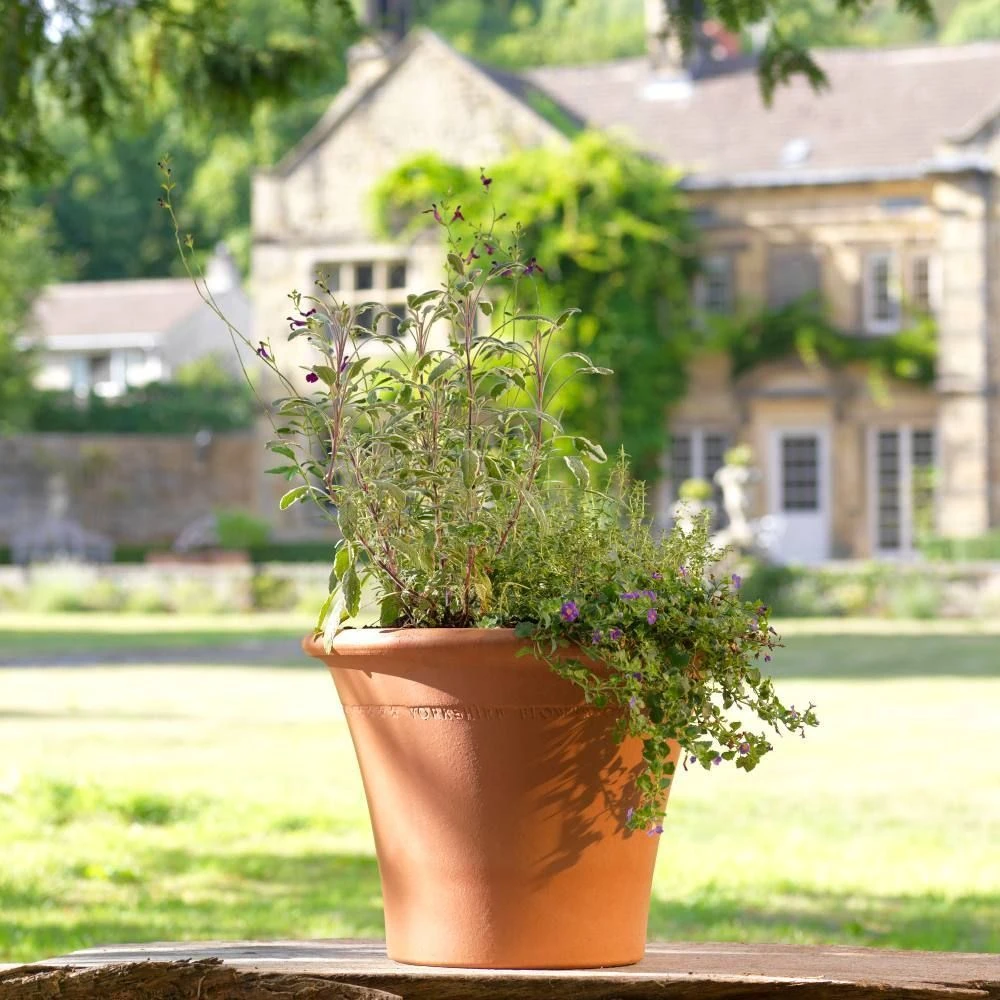 Ripon Pot 3 Ripon Pot