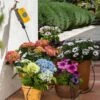 Hozelock 25 Pot Watering Kit 1 Hozelock 25 Pot Watering Kit -HANS Garden Shop 10000736 Watering Kit with Select