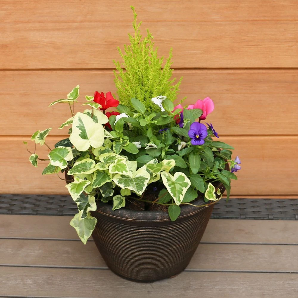 Autumn Cheerful Planter 25cm - Squire's Exclusive 4 Autumn Cheerful Planter 25cm - Squire's Exclusive - Image 2
