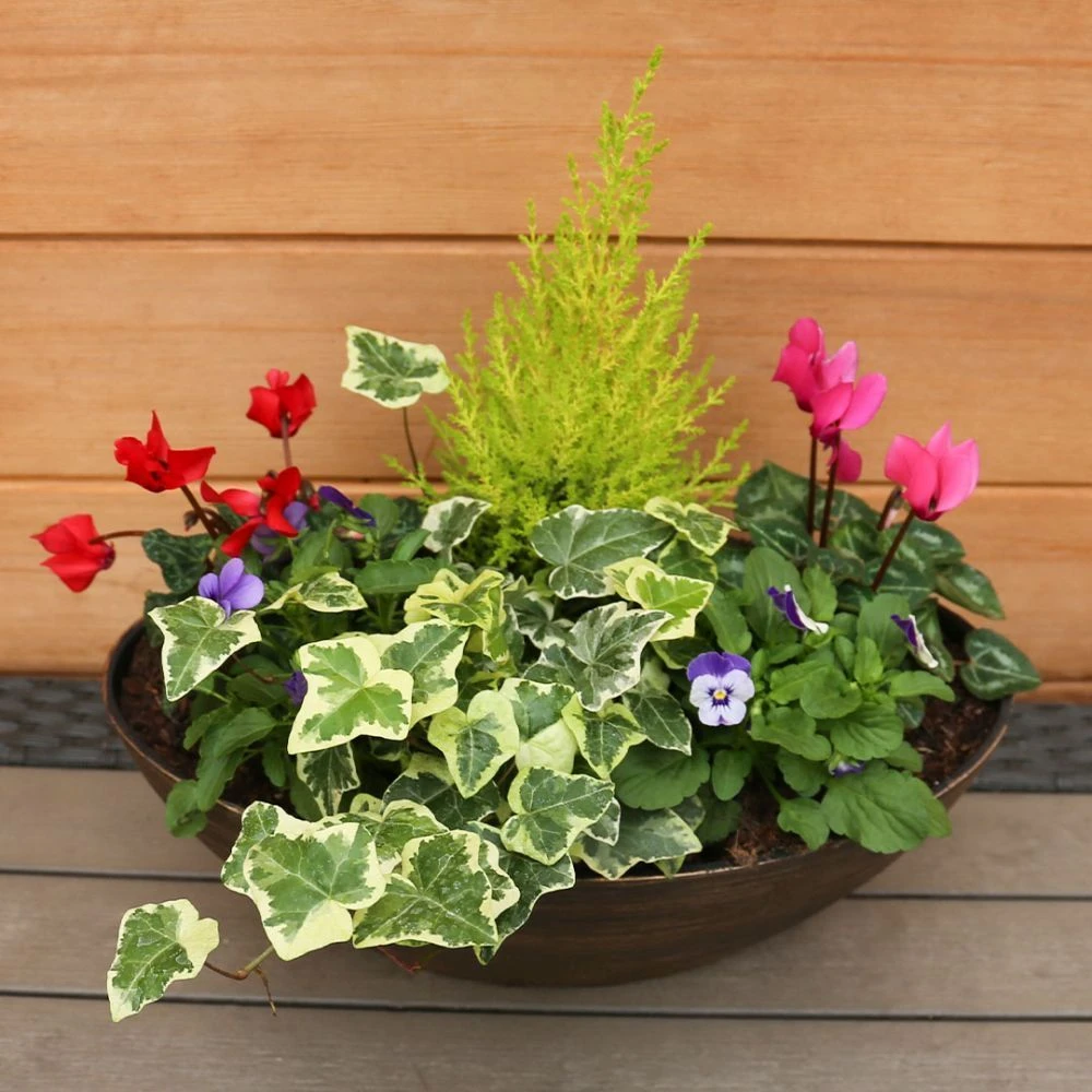 Autumn Cheerful Trough 38cm -Squire's Exclusive 4 Autumn Cheerful Trough 38cm -Squire's Exclusive - Image 2