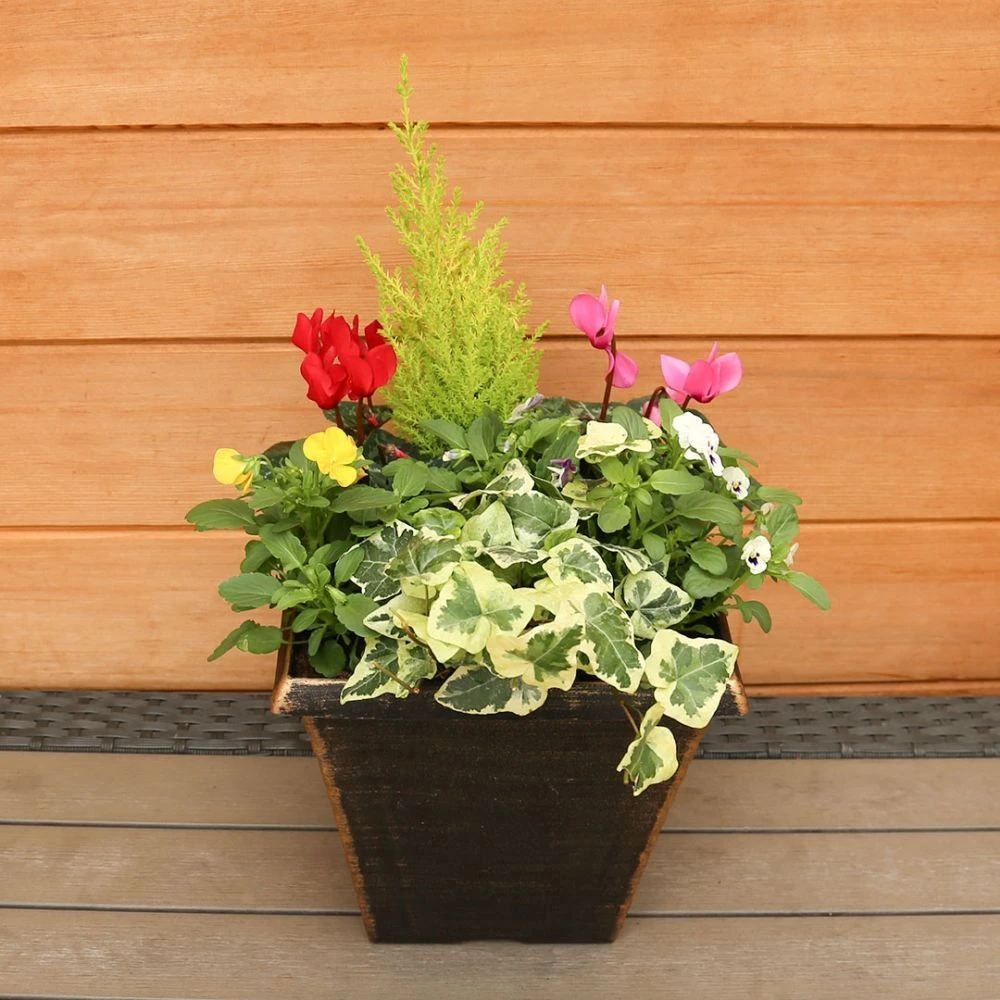 Autumn Cheerful Planter 28cm - Squire's Exclusive 4 Autumn Cheerful Planter 28cm - Squire's Exclusive - Image 2