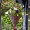 Chestnut Faux Rattan Hanging Cone 14 Inches 2 Chestnut Faux Rattan Hanging Cone 14 Inches -HANS Garden Shop 10090833 6020060 Chestnut Faux Rattan Cone 14inch Day insitu