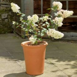 Tall Flowerpot