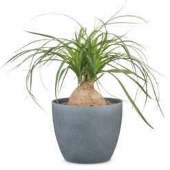 Dark Stone Effect Indoor Pot Cover 25cm