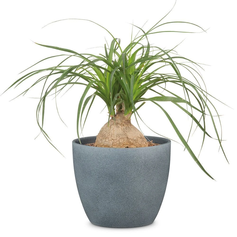 Dark Stone Effect Indoor Pot Cover 22cm 3 Dark Stone Effect Indoor Pot Cover 22cm