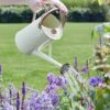 Watering Can 4.5 Litre - Cream 1 Watering Can 4.5 Litre - Cream -HANS Garden Shop 10199268 6514005 Watering Can 4.5L Cream Insitu