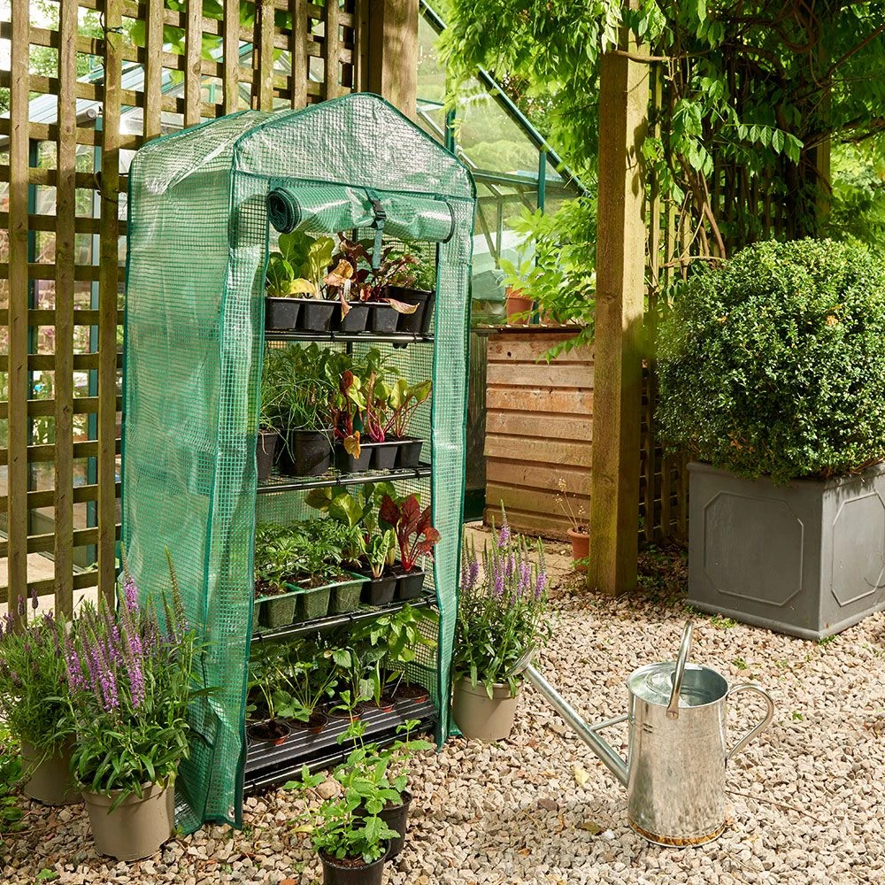 Premium 4 Tier Compact Growhouse 3 Premium 4 Tier Compact Growhouse