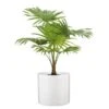 Ripple Effect Soft White Indoor Pot Cover 23cm 2 Ripple Effect Soft White Indoor Pot Cover 23cm -HANS Garden Shop 10209477 S 073 828 33 Panna with Plant 1