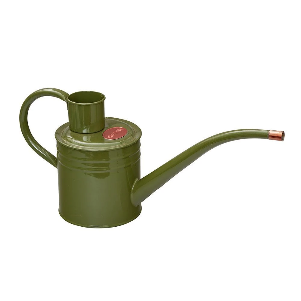 Home & Balcony Watering Can 1 Litre - Sage 4 Home & Balcony Watering Can 1 Litre - Sage - Image 2