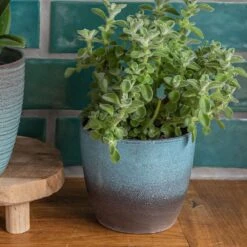 New Products 7 Ocean Blue Indoor Pot Cover 19cm