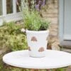 Bumble Pot - 25cm 1 Bumble Pot - 25cm -HANS Garden Shop 10253553 BUMBLE 1