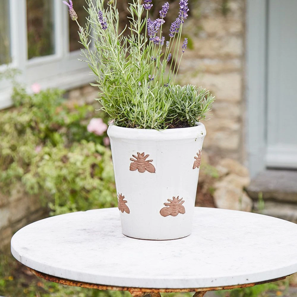 Bumble Pot - 25cm 3 Bumble Pot - 25cm