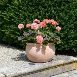 Bavaria Bowl Pot - 40cm