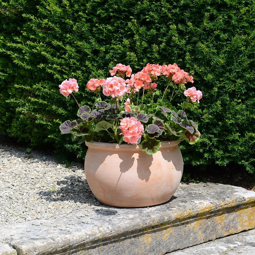 Bavaria Bowl Pot - 52cm 3 Bavaria Bowl Pot - 52cm