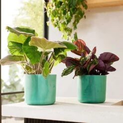 Elho - Ocean Collection - Pacific Green - Round 22cm 10 Elho - Ocean Collection - Pacific Green - Round 22cm -HANS Garden Shop 10273862 102738624 10273866 10273868 the ocean collection green.i2.jpg