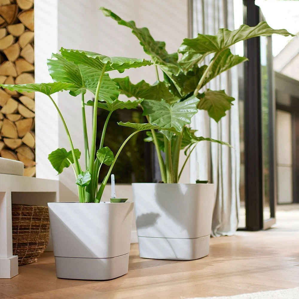 Elho Greensense Aqua Care Planter - Light Concrete 30cm 4 Elho Greensense Aqua Care Planter - Light Concrete 30cm - Image 2