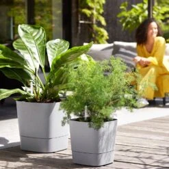 Elho Greensense Aqua Care Planter - Light Concrete 30cm