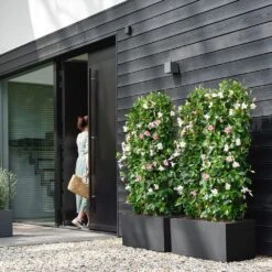 Vivo Next Long Trough - Living Black 80cm