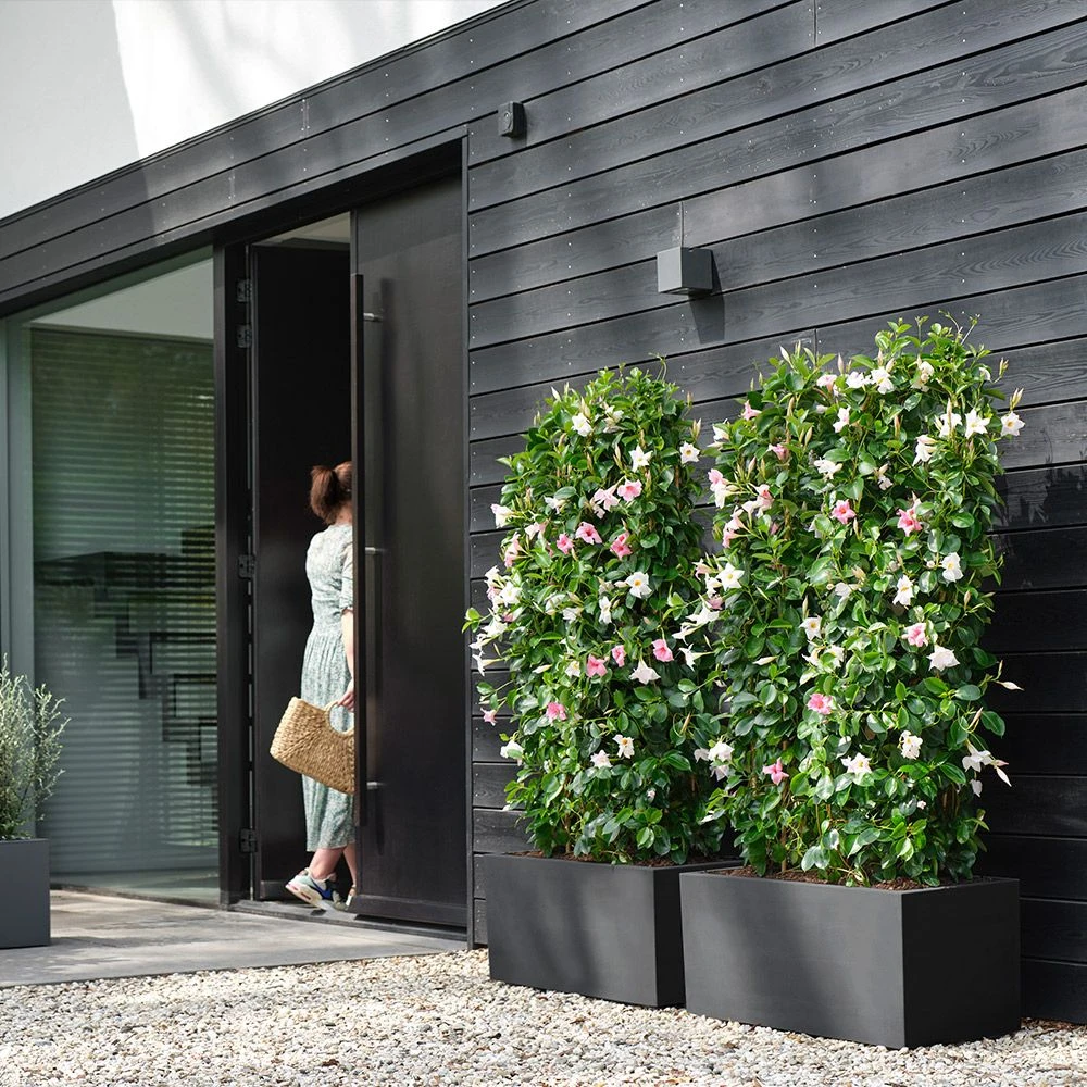 Vivo Next Long Trough - Living Black 80cm 3 Vivo Next Long Trough - Living Black 80cm