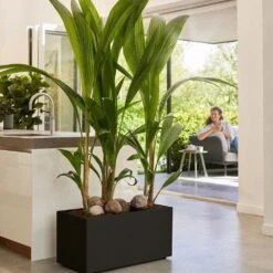 Vivo Next Long Trough - Living Black 80cm 9 Vivo Next Long Trough - Living Black 80cm -HANS Garden Shop 10276447 vivo next long 80 living black 3