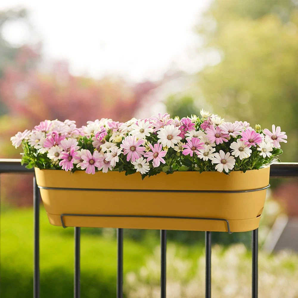 Elho Vibia Campana All In 1 Trough - Honey Yellow 50cm 4 Elho Vibia Campana All In 1 Trough - Honey Yellow 50cm - Image 2