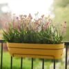 Elho Vibia Campana All In 1 Trough - Honey Yellow 50cm 2 Elho Vibia Campana All In 1 Trough - Honey Yellow 50cm -HANS Garden Shop 10276455 10276448 vibia campana all in 1 honey yellow.i2 1