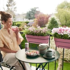 Elho Vibia Campana All In 1 Trough - Dusty Pink 70cm 7 Elho Vibia Campana All In 1 Trough - Dusty Pink 70cm -HANS Garden Shop 10276456 vibia campana all in 1 dusty pink.i1