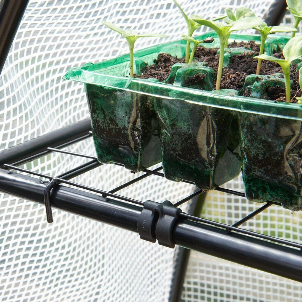 Gro-Sure Visiroot 12 Tray Growhouse 4 Gro-Sure Visiroot 12 Tray Growhouse - Image 3