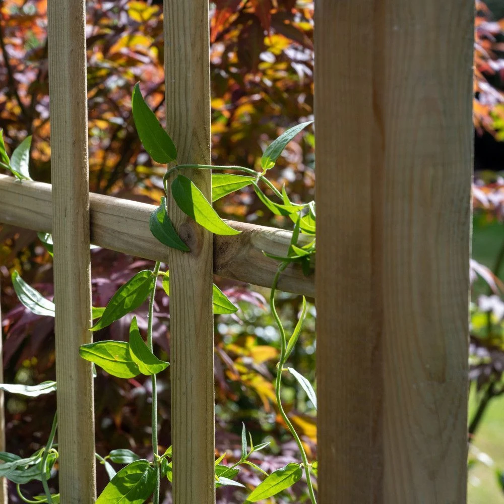 Direct - Classic Flat Top Arch 4 Direct - Classic Flat Top Arch - Image 2